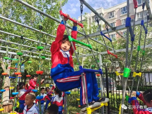 石河子24所幼儿园推出暑期托管服务，缓解家长“看护难”