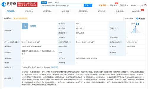 学而思跨界布局 从教育到文具教具与托管服务的多元化转型