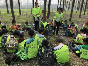 品牌托管 幼儿园外服务的新趋势与未来展望