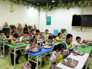 幼儿园外托管班成功开办指南 从市场调查到服务优化的全面准备